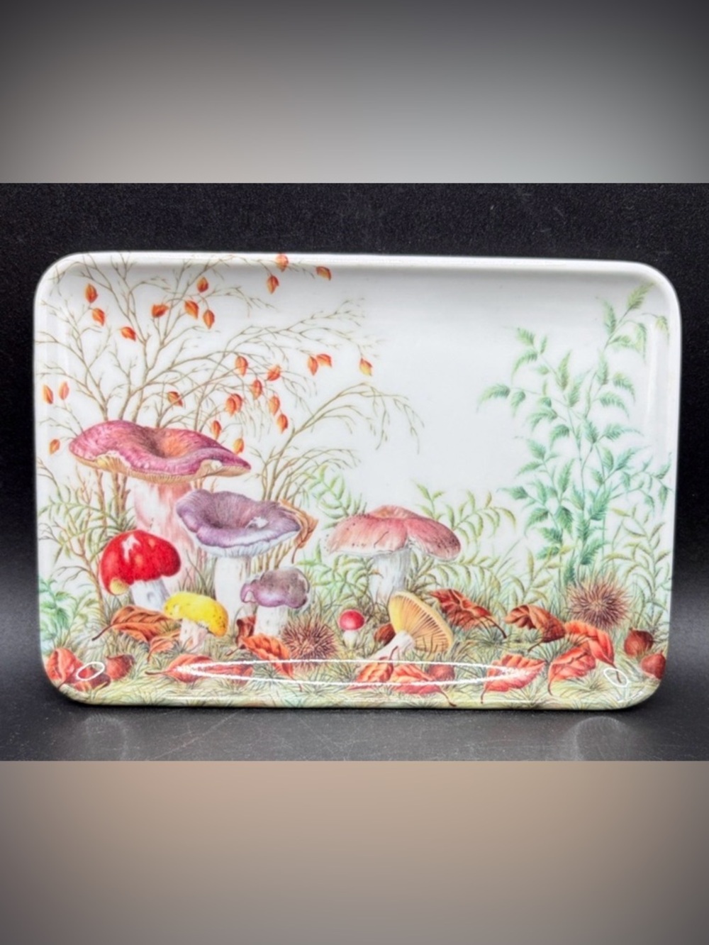 RDE Import Inc Vintage Mushroom Motif Multicolor Melamine Trinket Tray, Italy